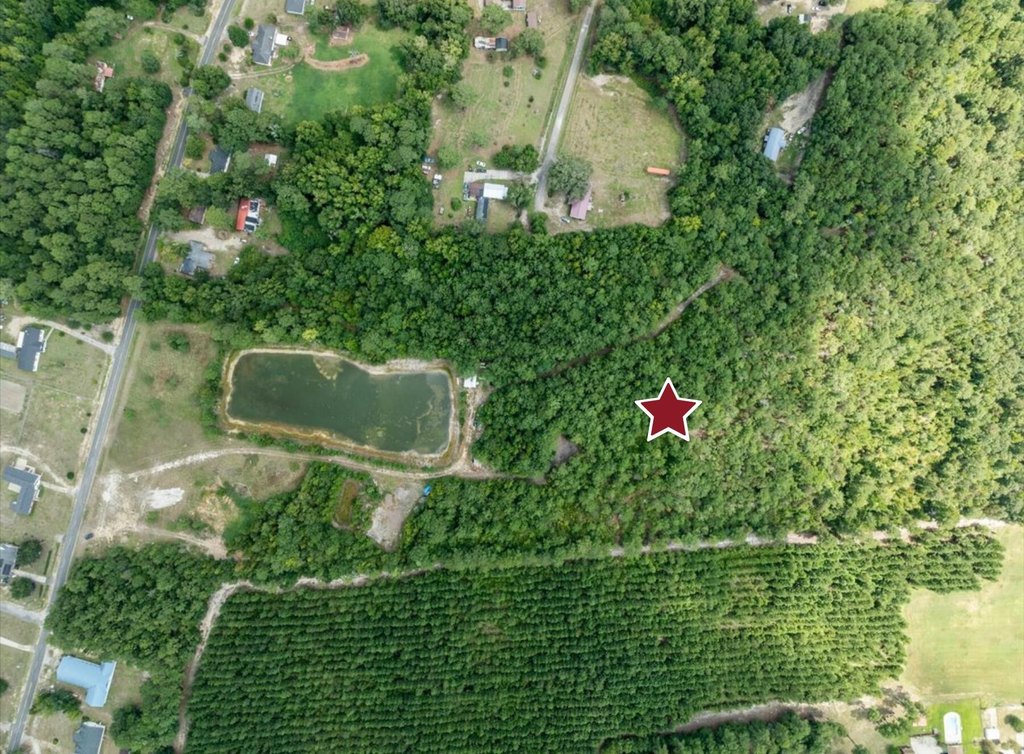 Picture 10