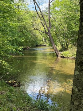 Riverfront Mountain Land