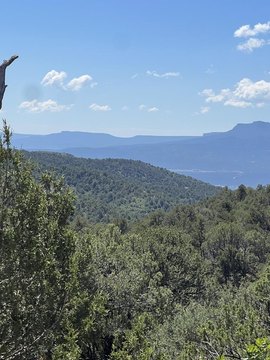 Land, Trinidad, CO
