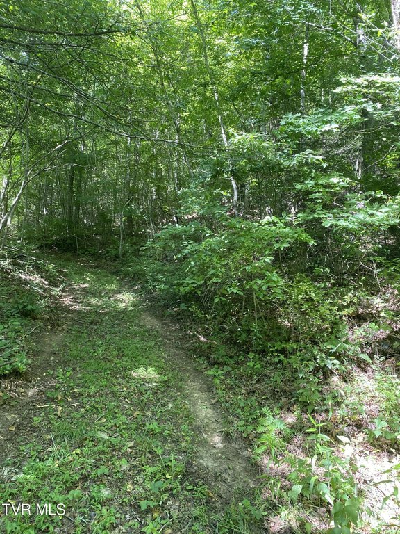 Picture 21