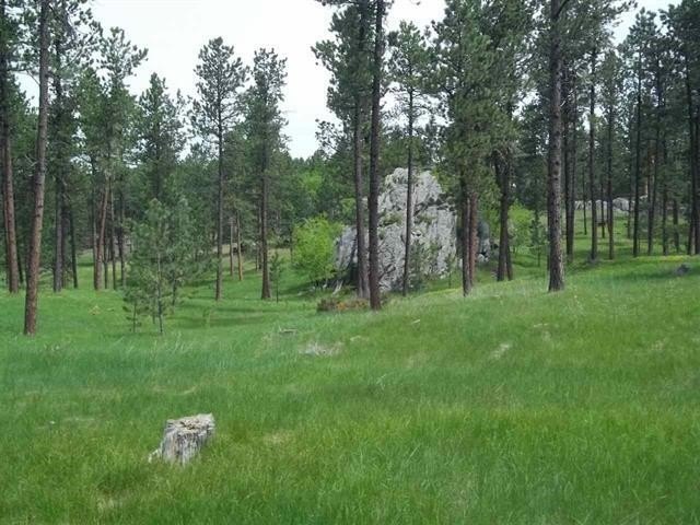 Picture 3