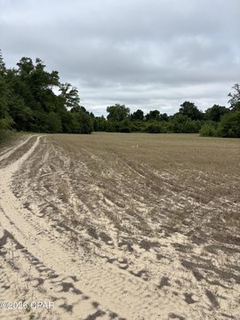 Land, Greenwood, FL