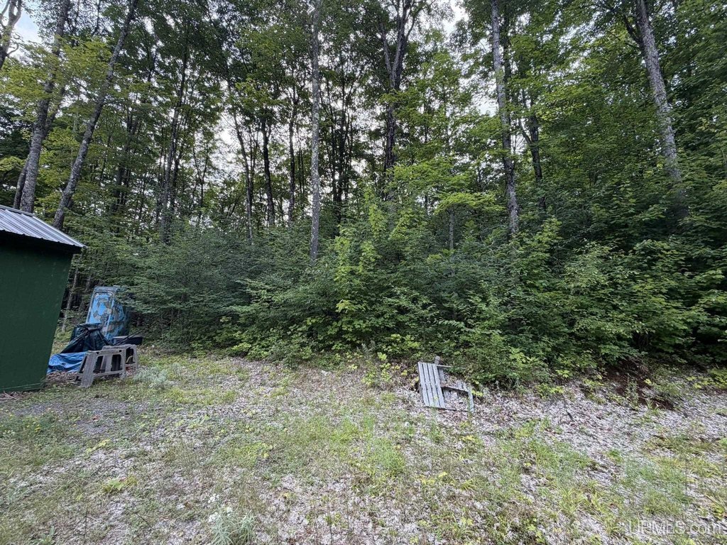 Picture 3