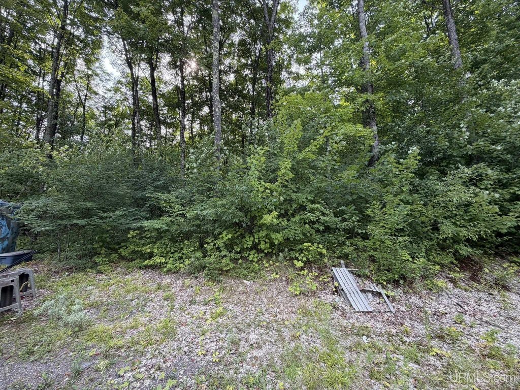 Picture 2