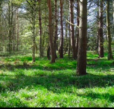 Easton, MA Homesite Opportunity