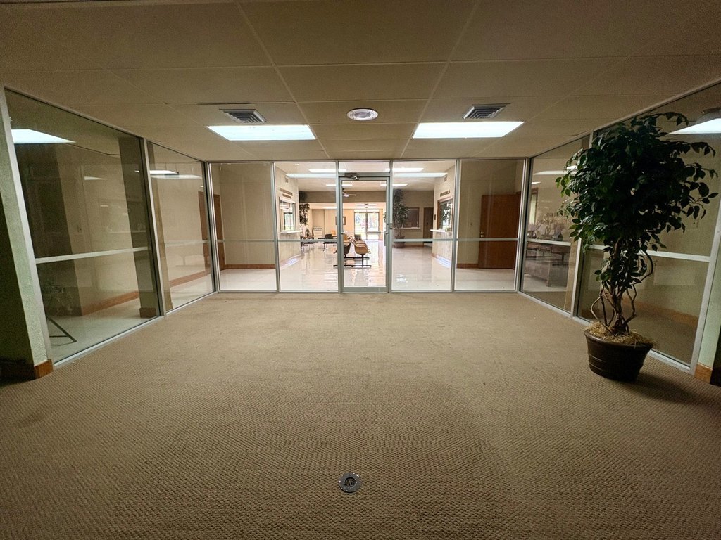 Picture 13