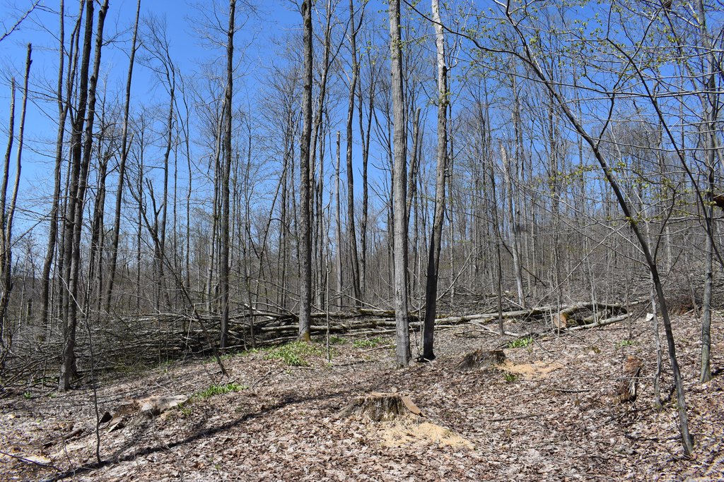 Picture 30