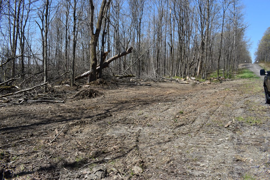 Picture 15