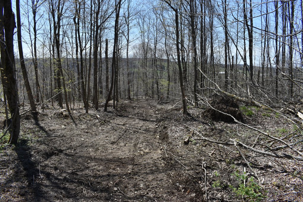 Picture 19