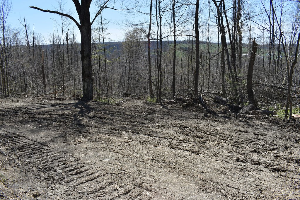 Picture 14