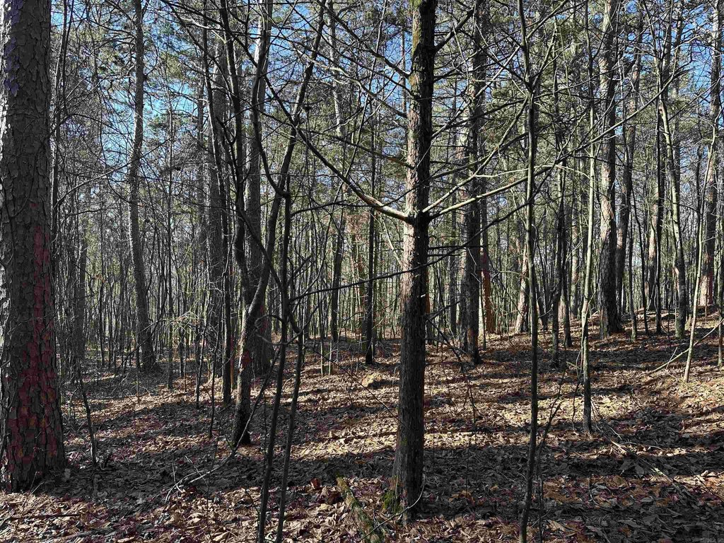Picture 29