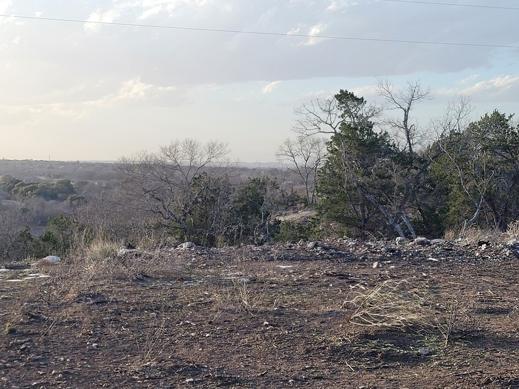 Picture 14