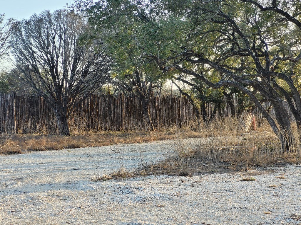 Picture 6