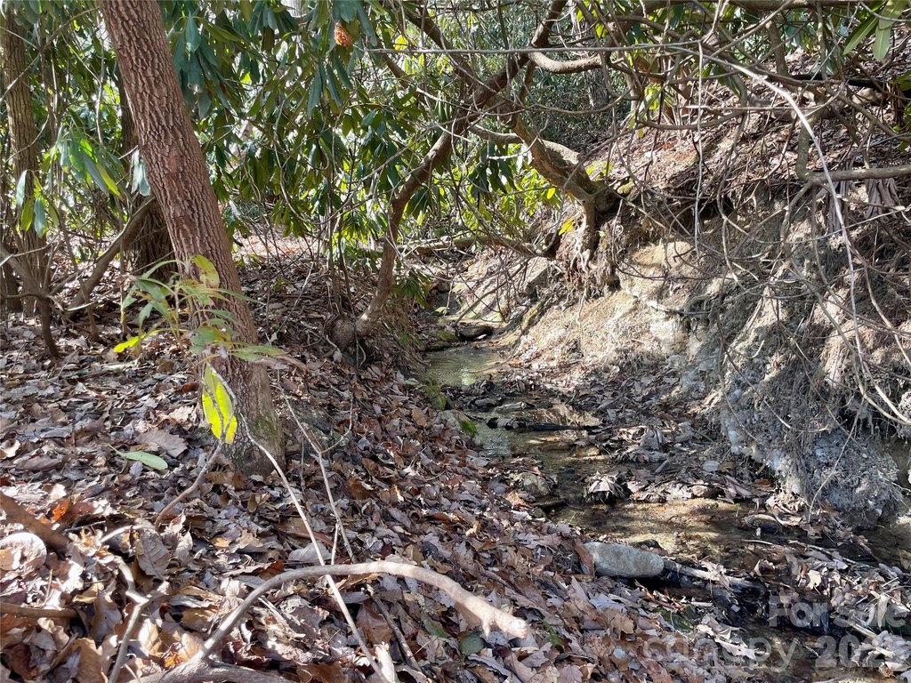 Picture 24