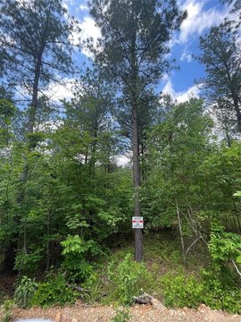 LAND - Broken Bow, OK