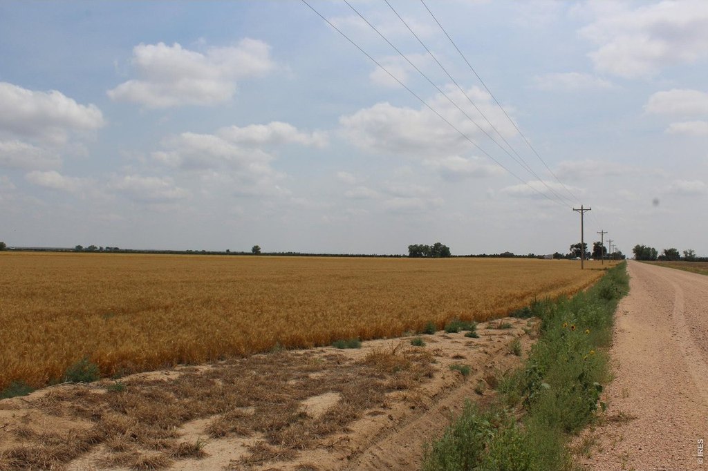 Picture 7