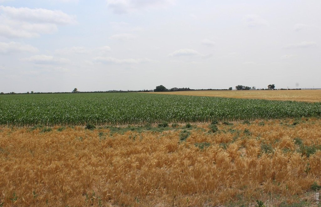 Picture 10