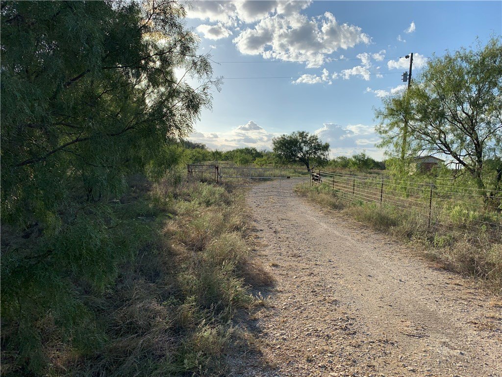 Picture 25