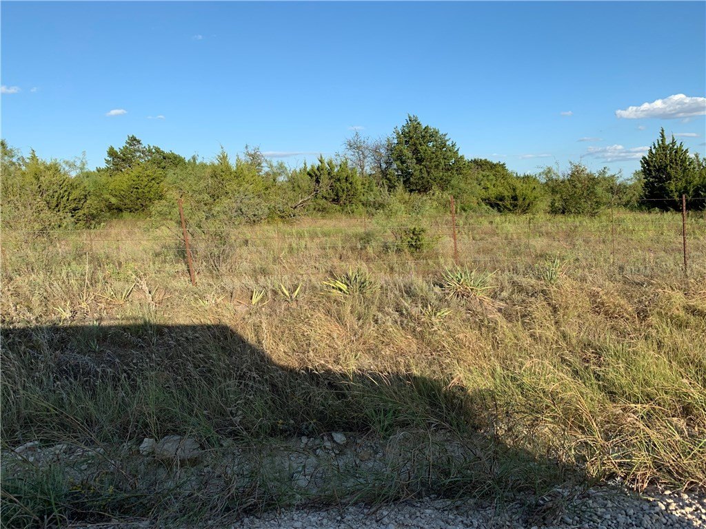 Picture 28