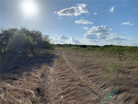 High-Fenced Ranch Hunting Tract