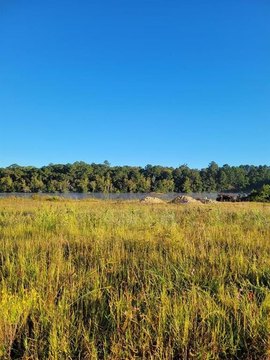 Waycross Land with Lake Access