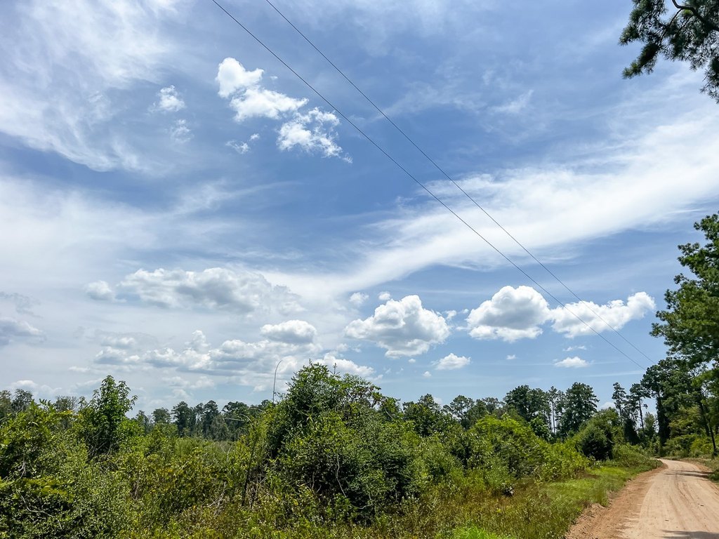 Picture 21