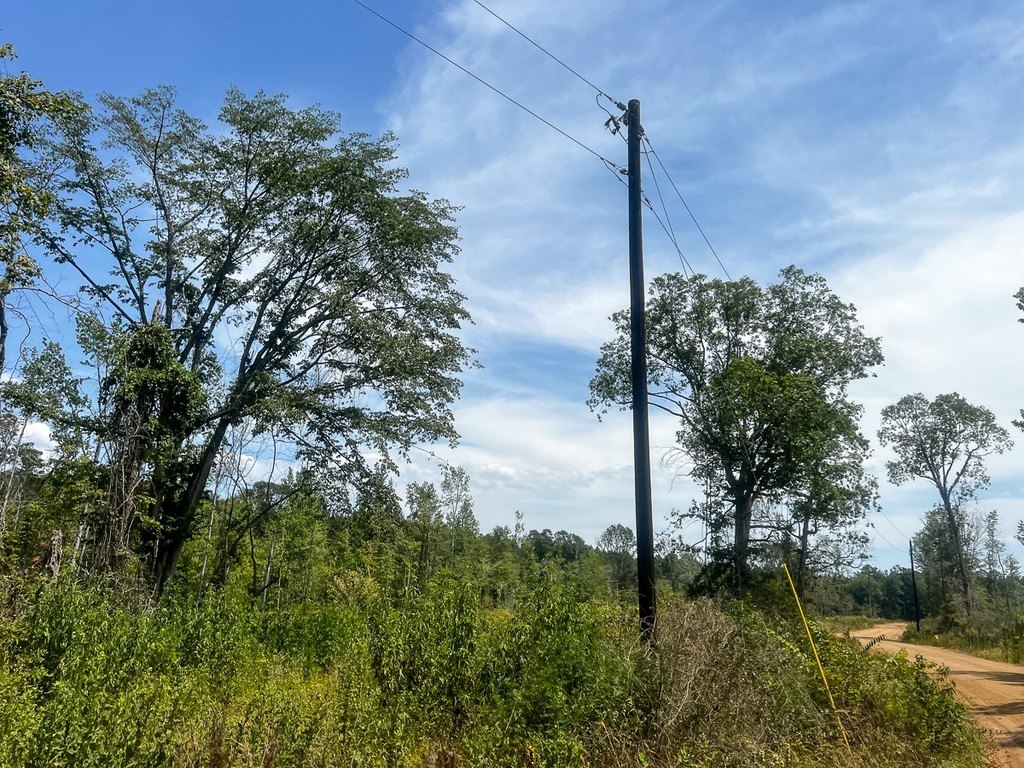 Picture 31