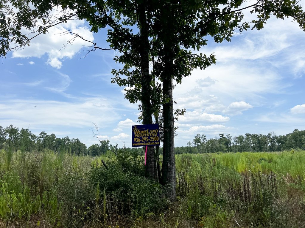 Picture 29
