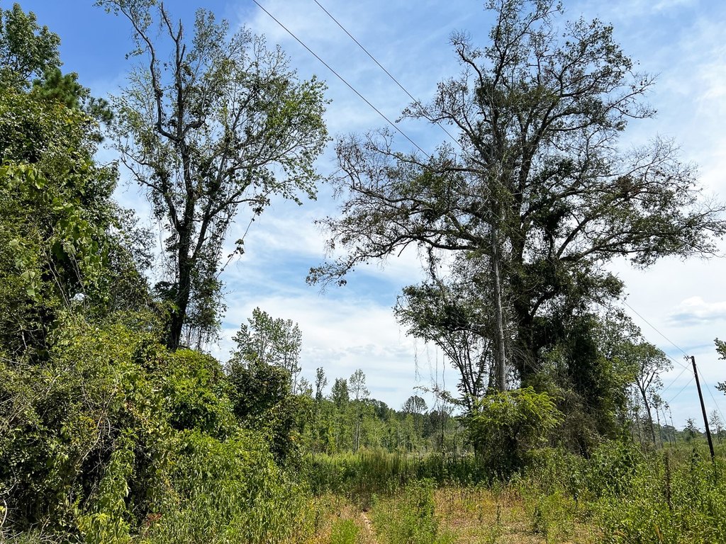 Picture 30