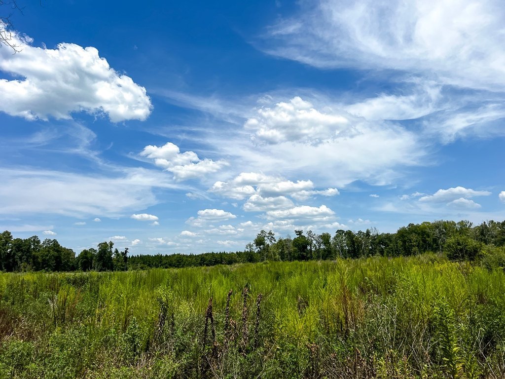 Picture 24