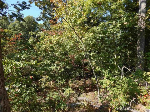 Waterfront Land Lot for Home Build