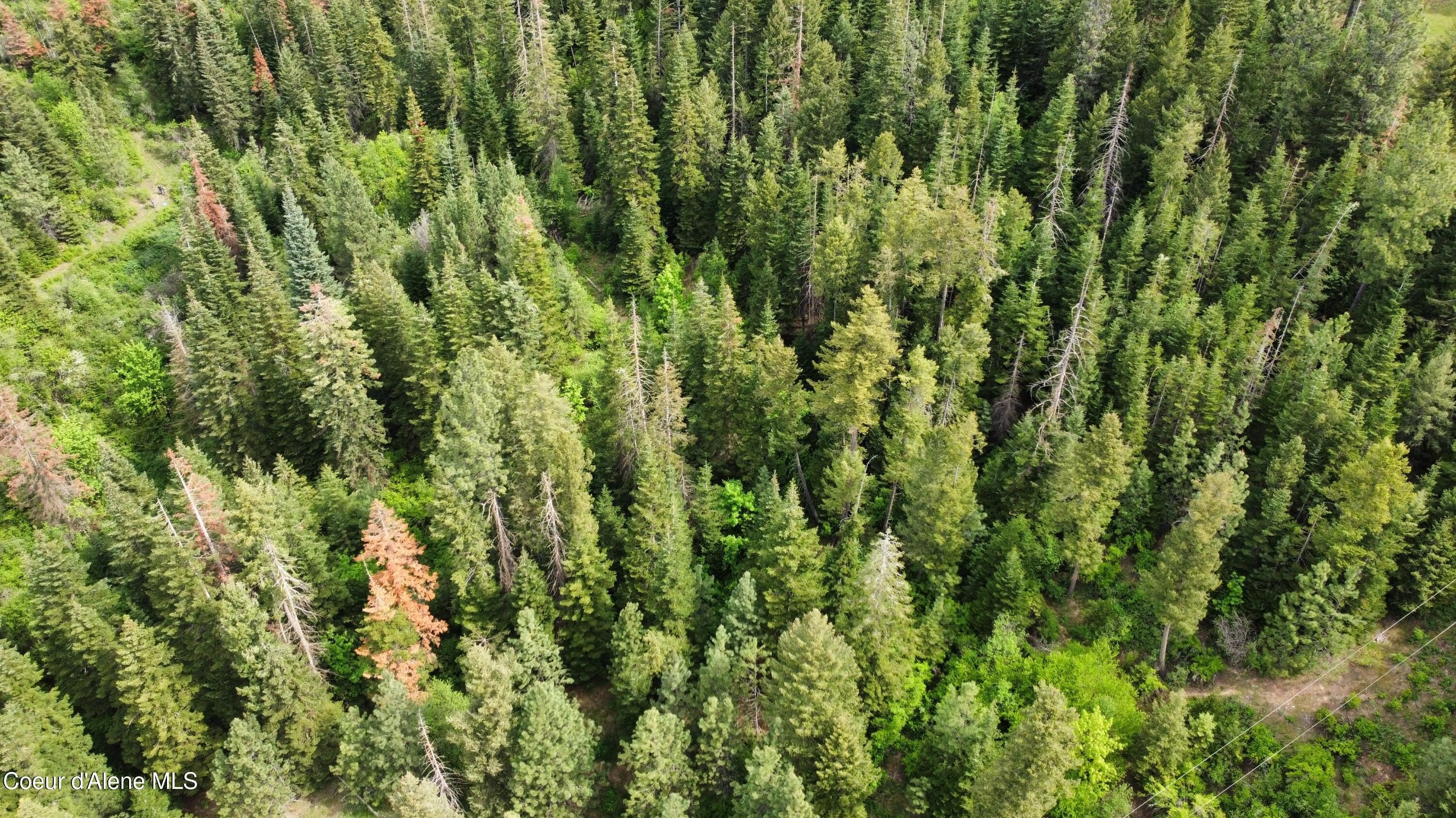 Idaho Land with Panoramic Views