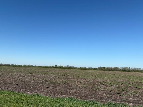Productive Row Crop Farmland
