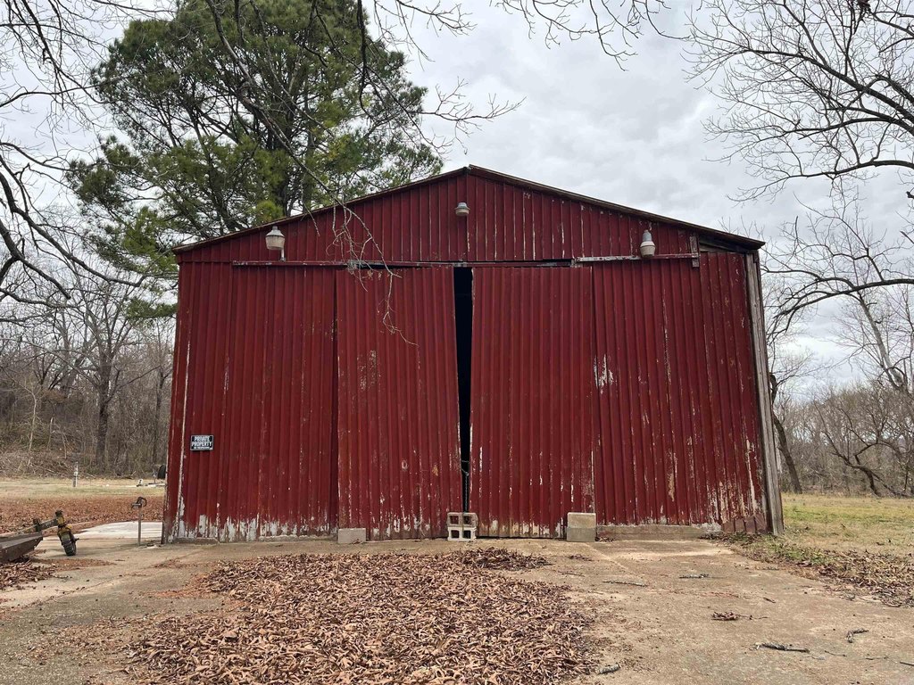 Picture 6