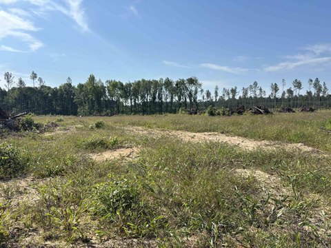 Residential Land in Sheridan, Arkansas