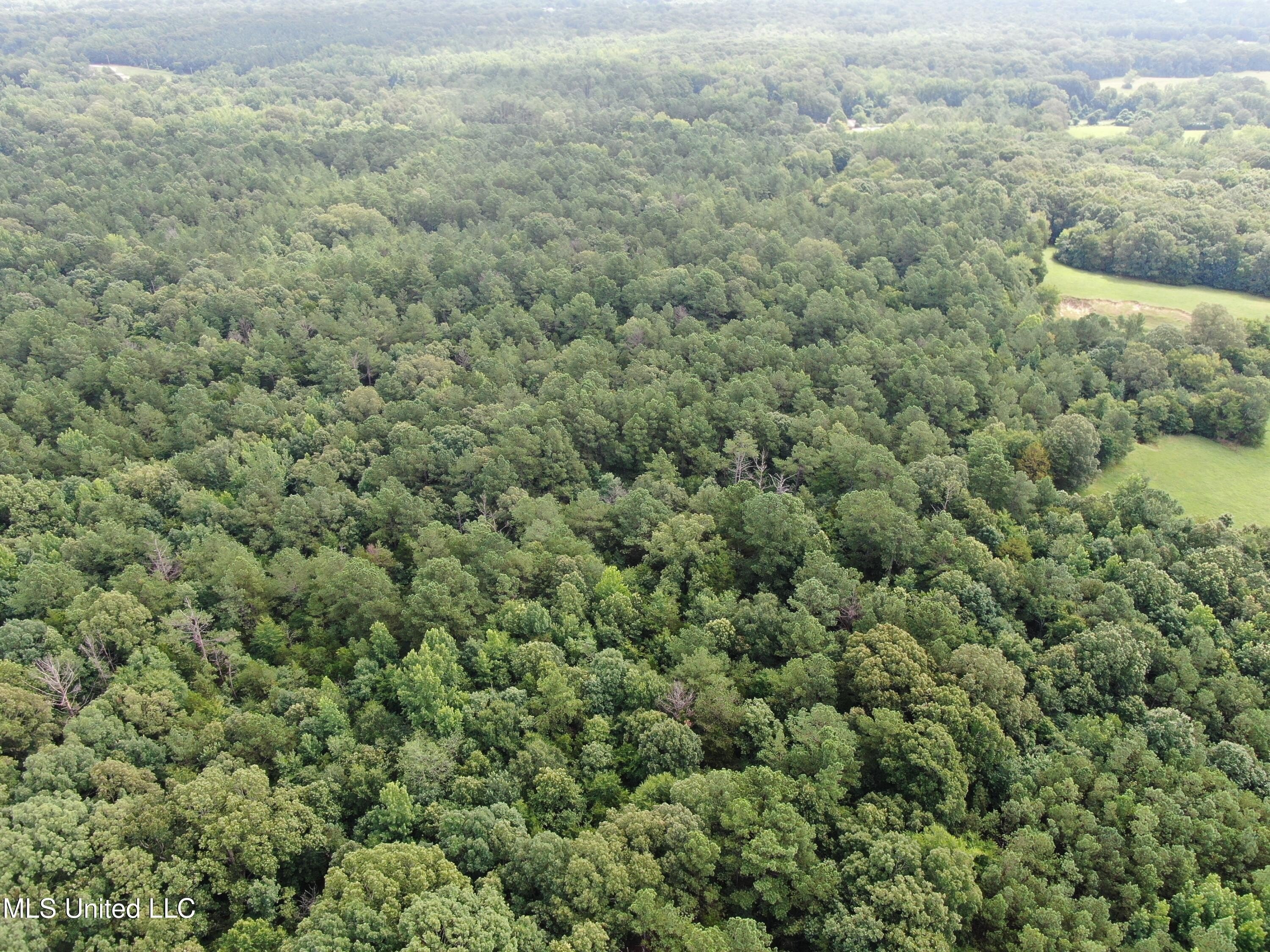 Secluded Acreage in Byhalia, MS