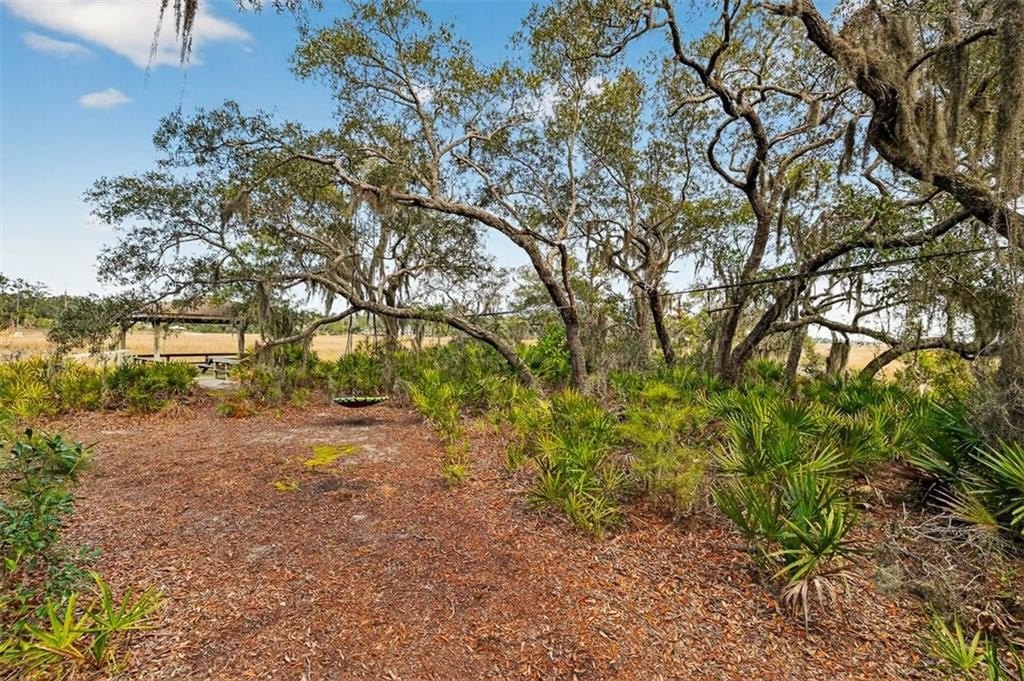 Picture 25