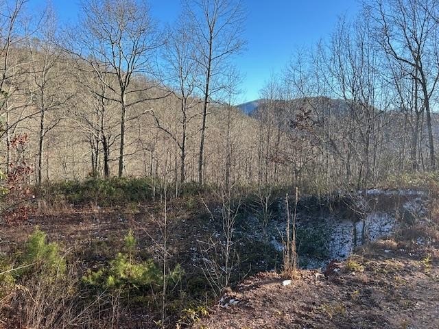 Mountain View Lot in Bryson