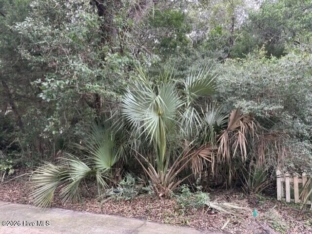 Bald Head Island Homesite
