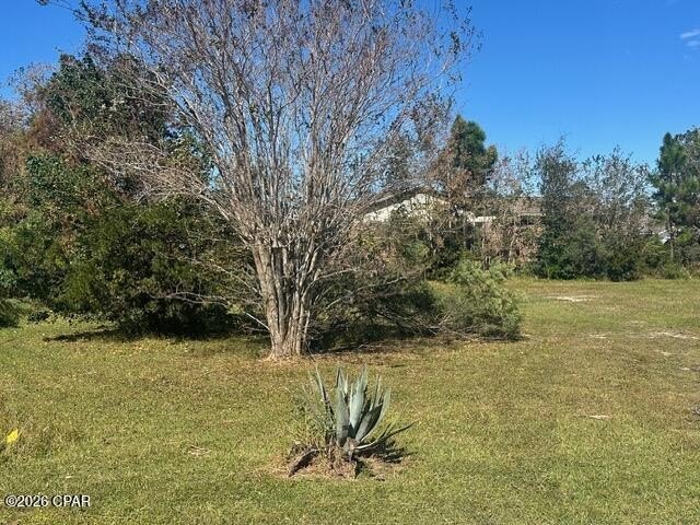 Picture 2