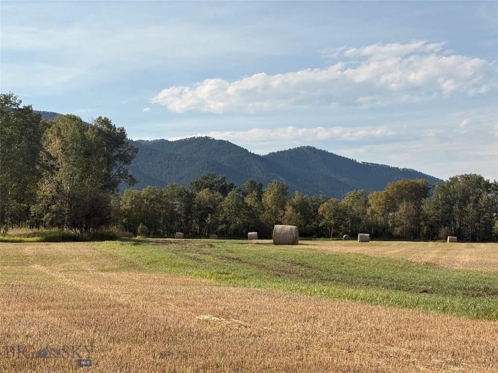Picture 91