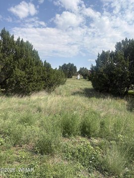 LAND - Concho, AZ