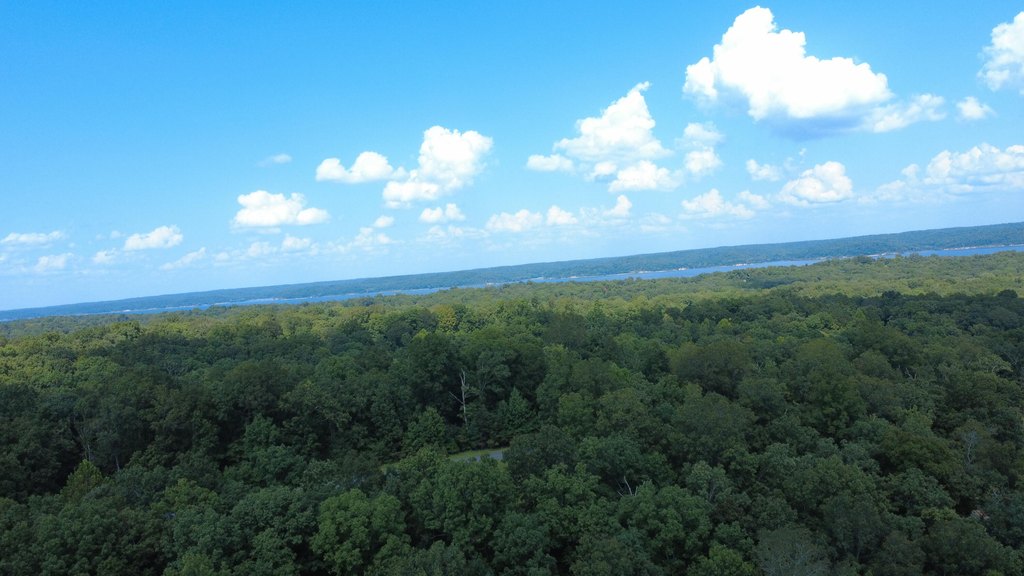 Picture 8
