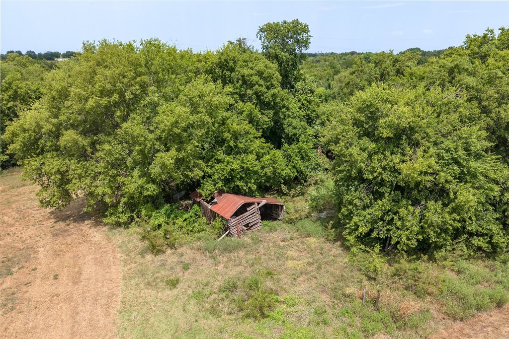 Picture 30