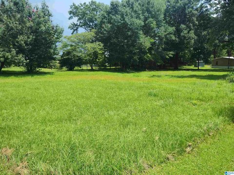 LAND - WILSONVILLE, AL