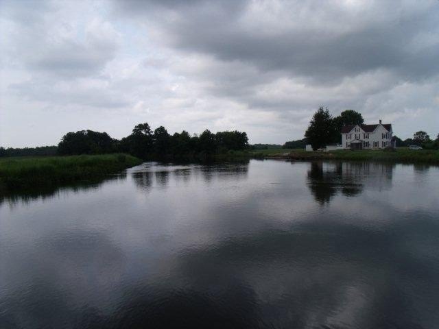Picture 8