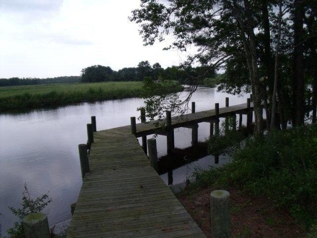 Picture 5