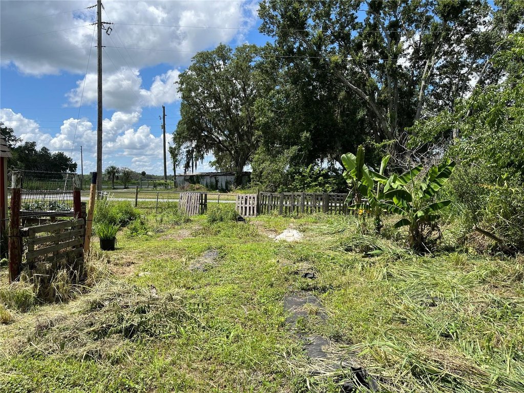 Picture 38