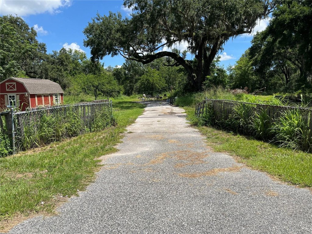 Picture 29