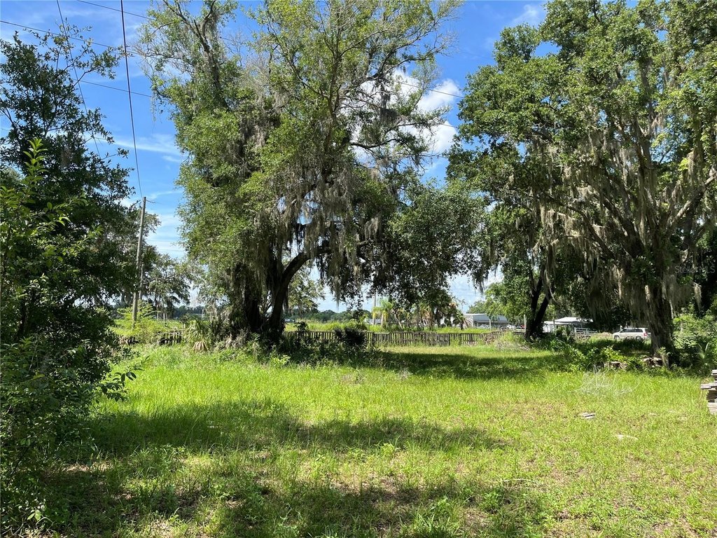 Picture 19